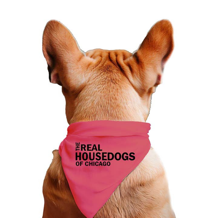 Calm Down Caren - Wholesale Pet bandana – Dog - The Real House Dogs of CUSTOM CITY - Dog Bandana5