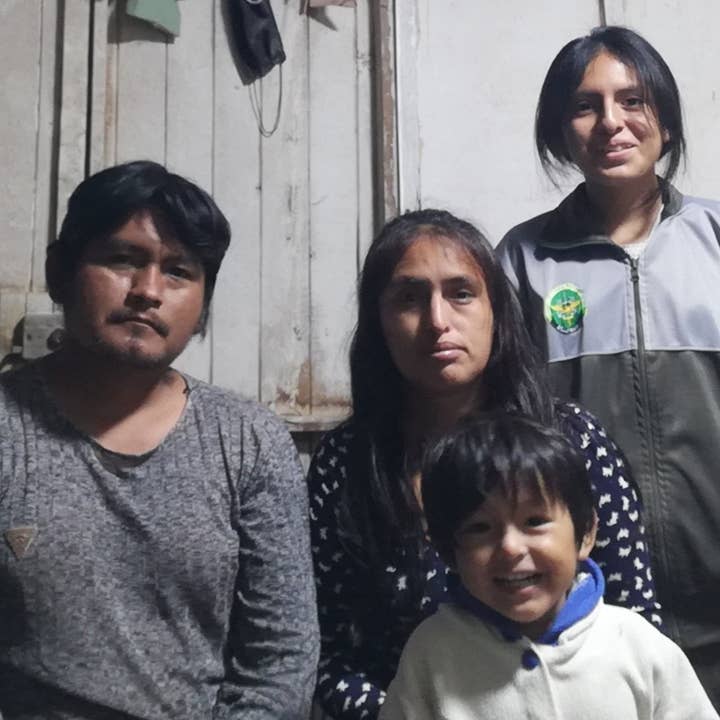 Blossom Inspirations - Wholesale Stuffed/plush toy – Kids & baby - Bears Stuffed Alpaca Toy9