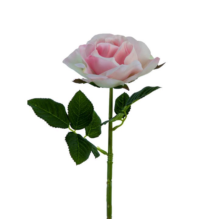 American Best - Wholesale Artificial Flowers - 17'' REAL TOUCH OPEN ROSE1