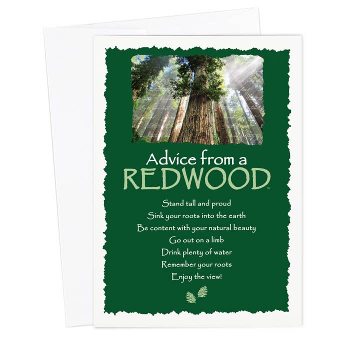 Advice from a Redwood Greeting Card - Blank for wholesale by Advice for Life by Your True Nature
