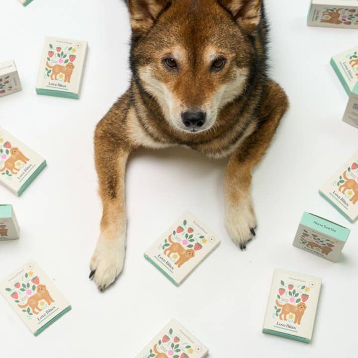 Mini Valentine's — Love Bites Dog Treats ❤️ for wholesale by Botanical Bones