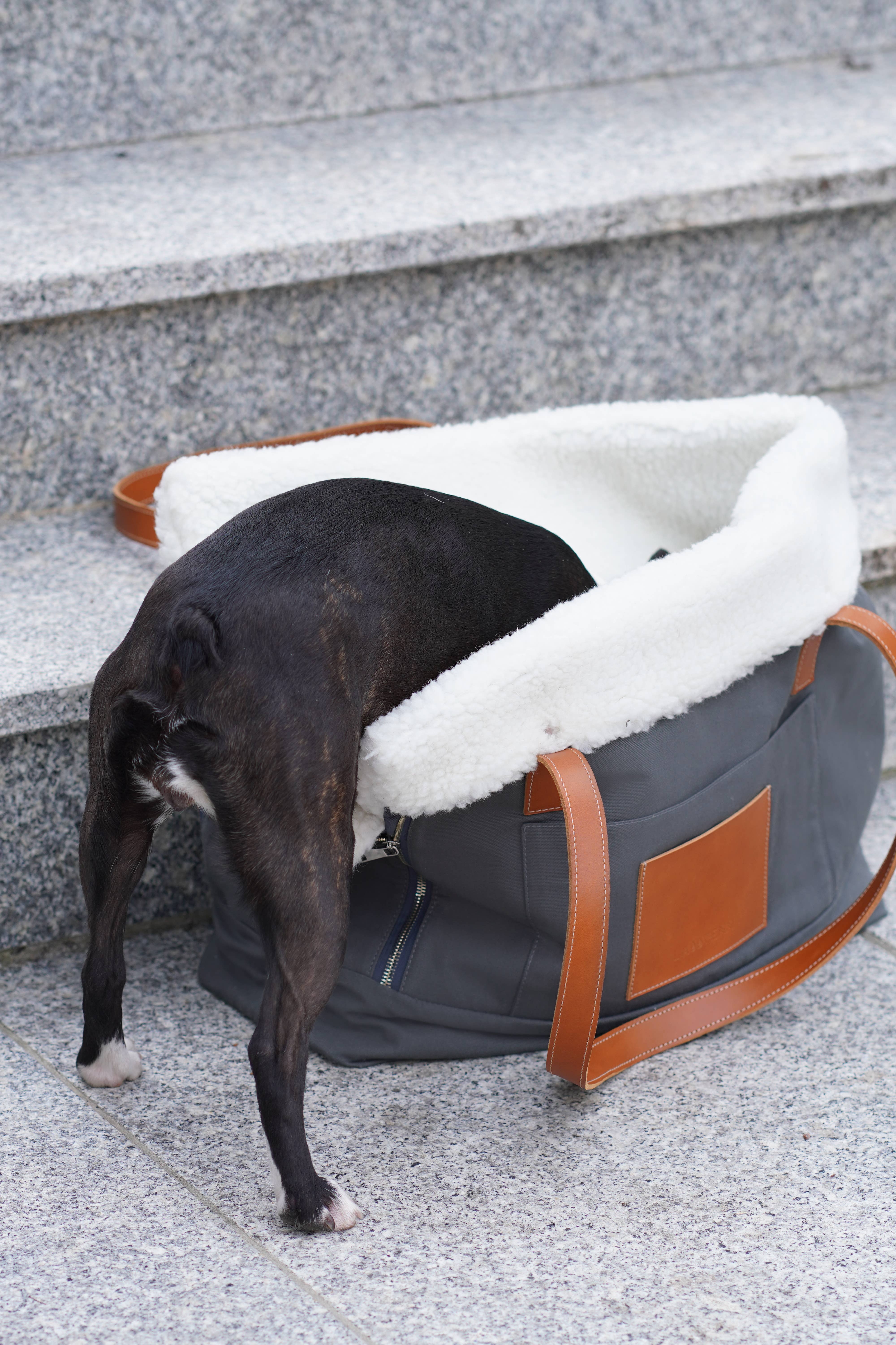 Labbvenn - Wholesale Pet Carrier - Cat/Dog - Liiva Dog Carrier9