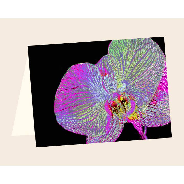 Orchid ENCL no.26 for wholesale by Line Five Studio