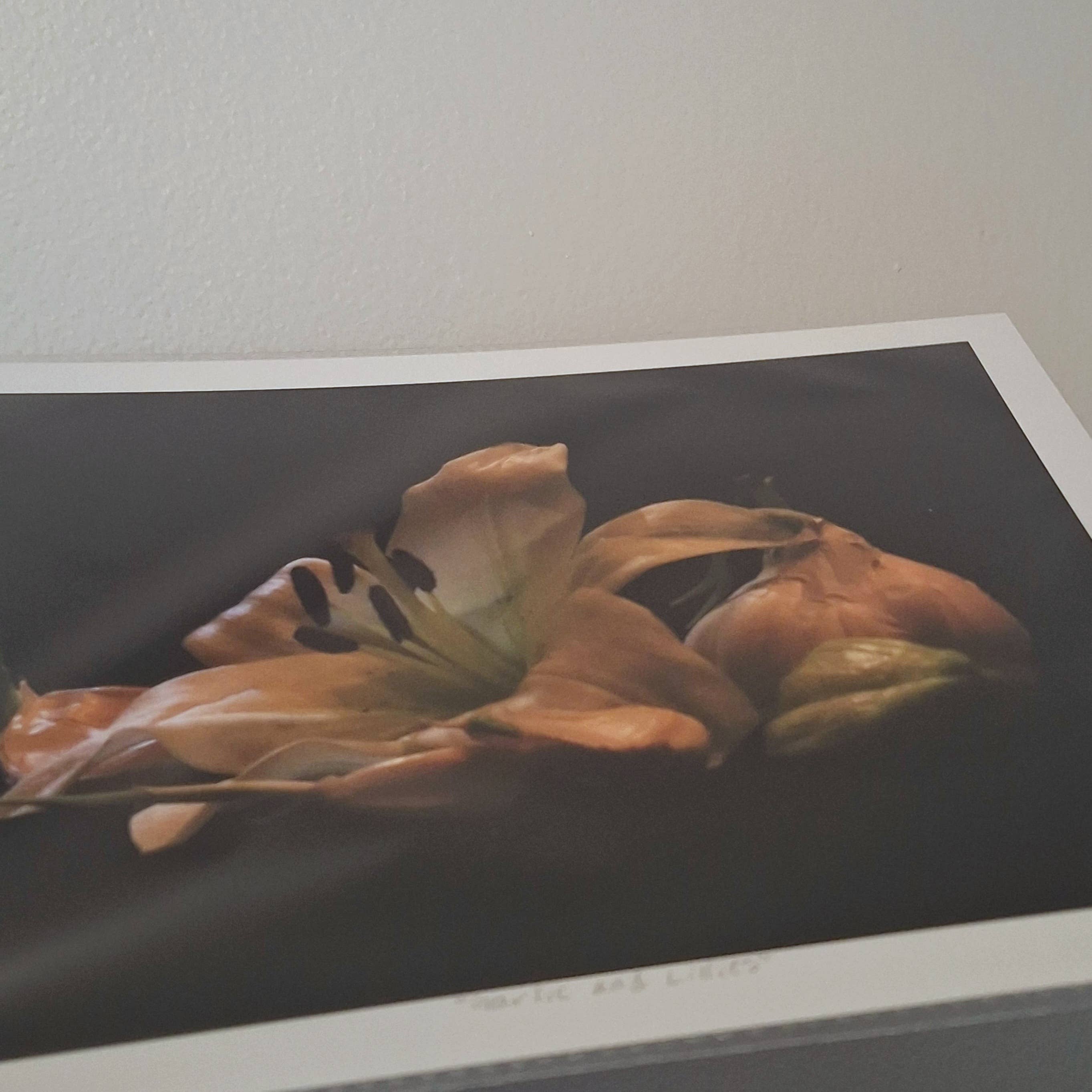 Gen Aumonier Art - Wholesale Photograph - Garlic and Lilies 8"x10" Signed Photography Art Print6