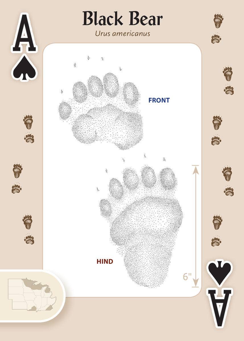 AdventureKEEN - Wholesale Playing Cards - Animal Tracks of Midwest Playing Cards3