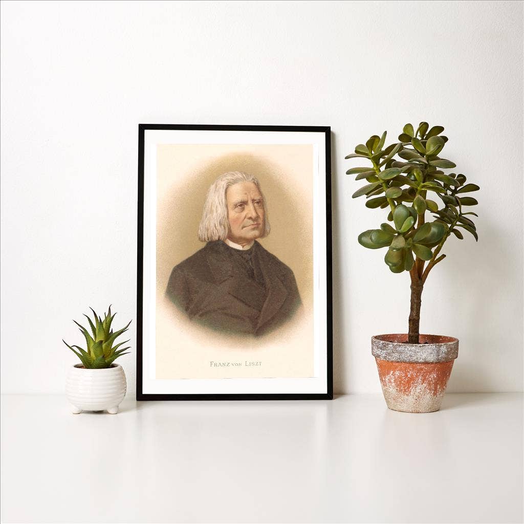 Found Image Press - Vendita all'ingrosso Stampa artistica - Stampa d'arte MS-226 Ritratto di Franz Liszt1