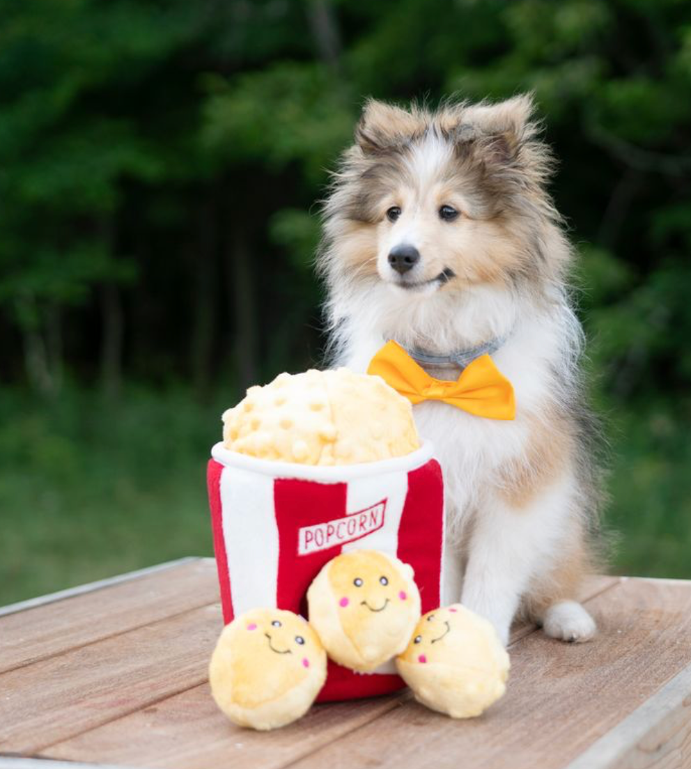 ZippyPaws – wholesale Pet plush toy – Dog – Zippy Burrow - Popcorn Bucket - Dog Toy7
