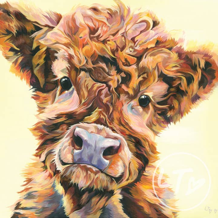 Mounted Giclee Cute Highland Cow Art Print (Ted, Calf) for wholesale by Lauren's Cows