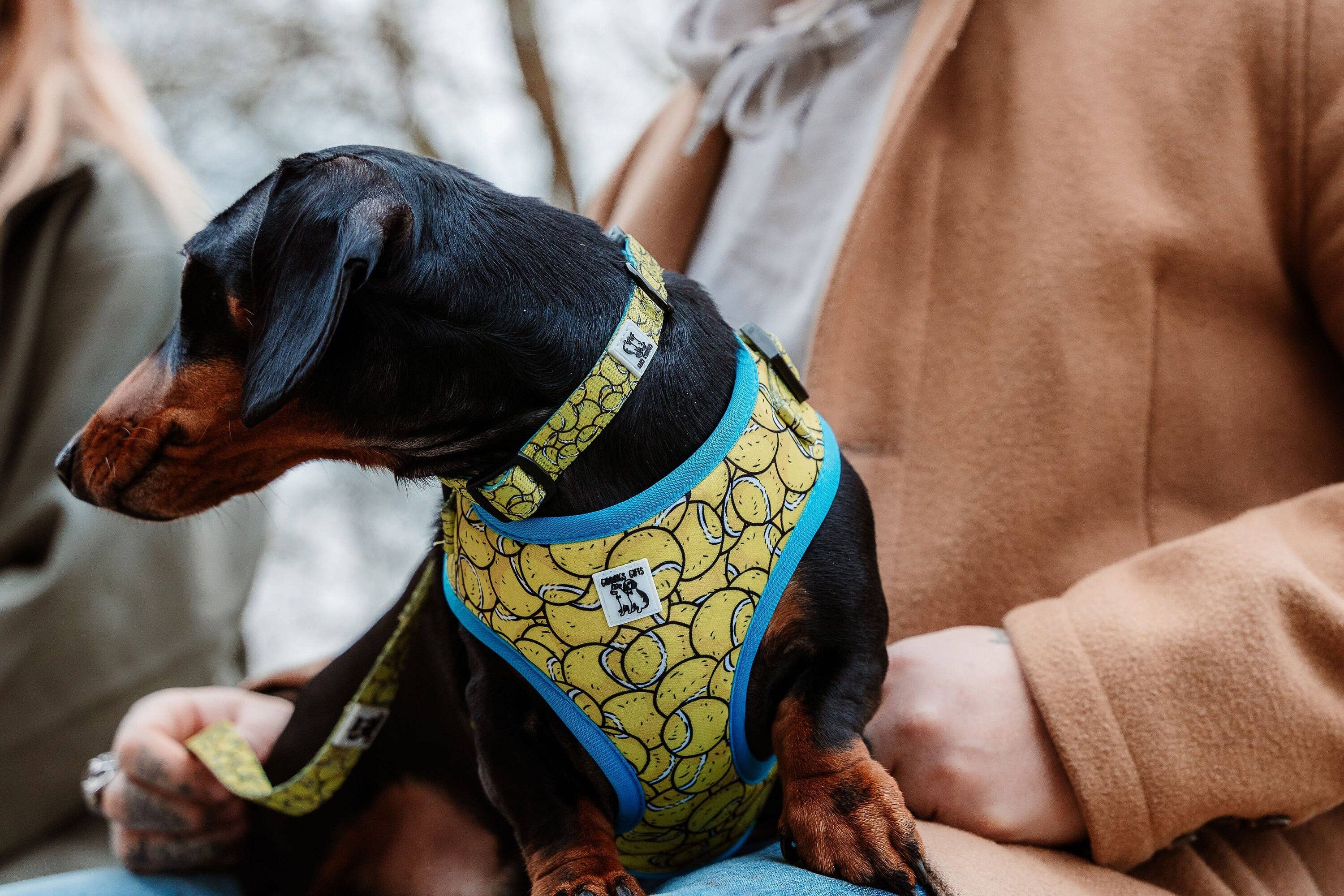 Giddings Gifts - Wholesale Pet Collar - Dog - Tennis Ball Dog Collar2