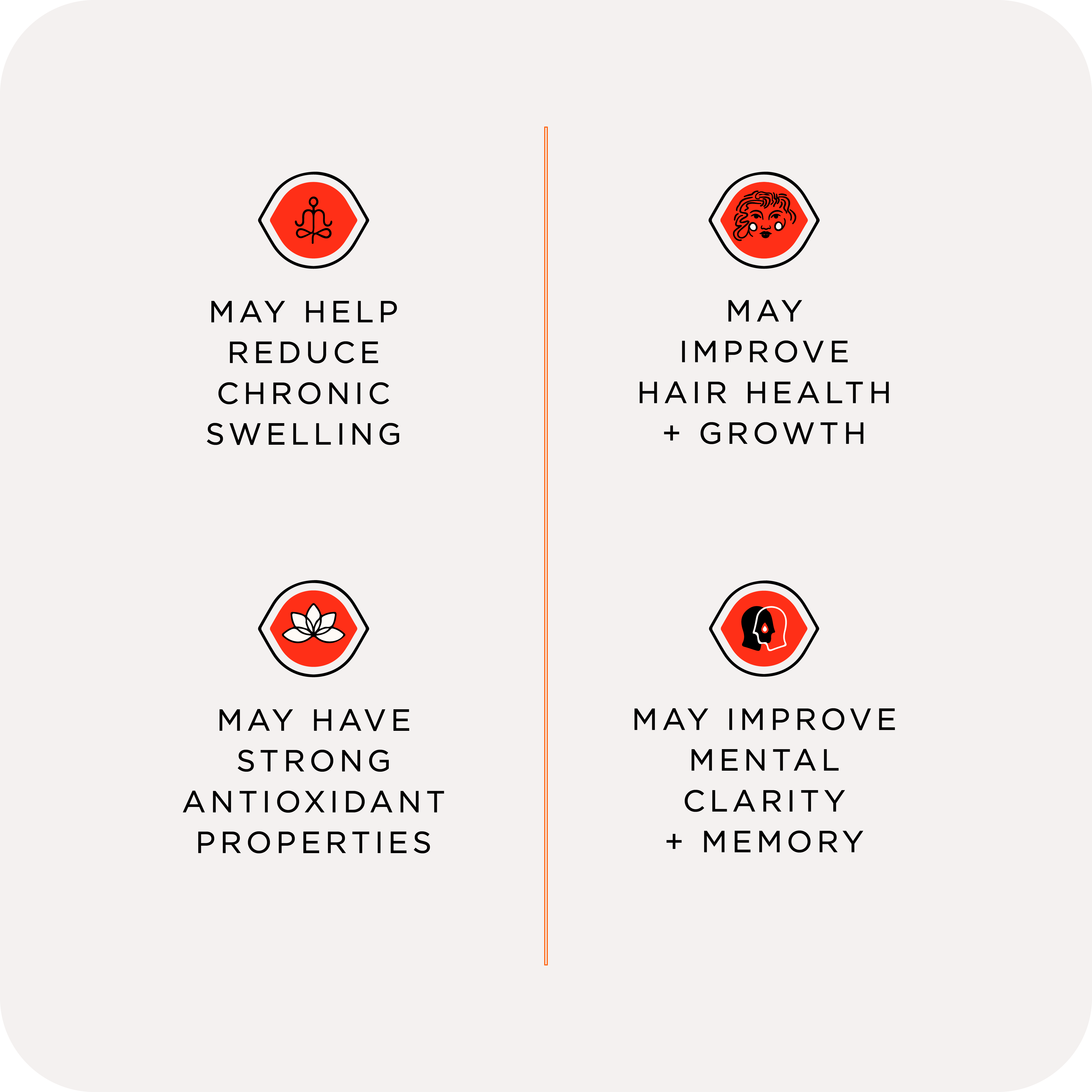 Joon Spice - Wholesale Salt - Khwera Fine Pink Salt3