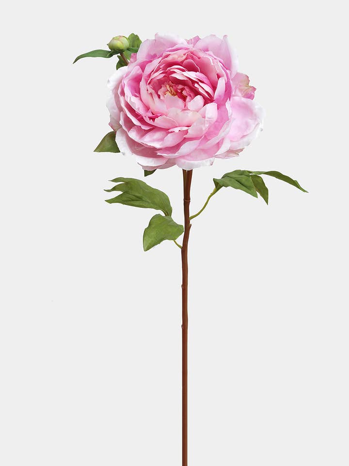 Peonia sintetica rosa 19,5" per la vendita all'ingrosso da parte di Prestige Botanicals