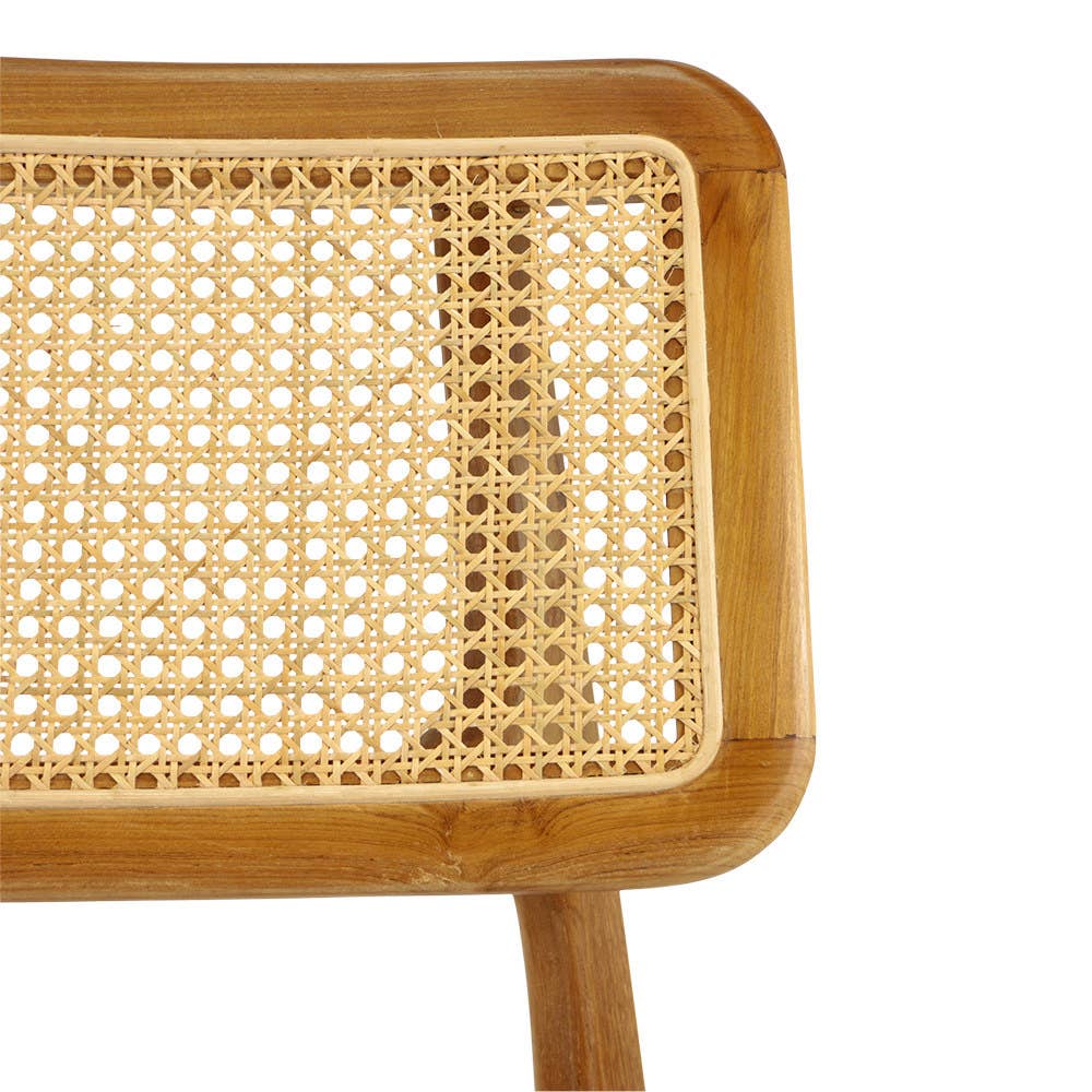 EARTHWARE - Wholesale Chair - Retro webbing dining chair2