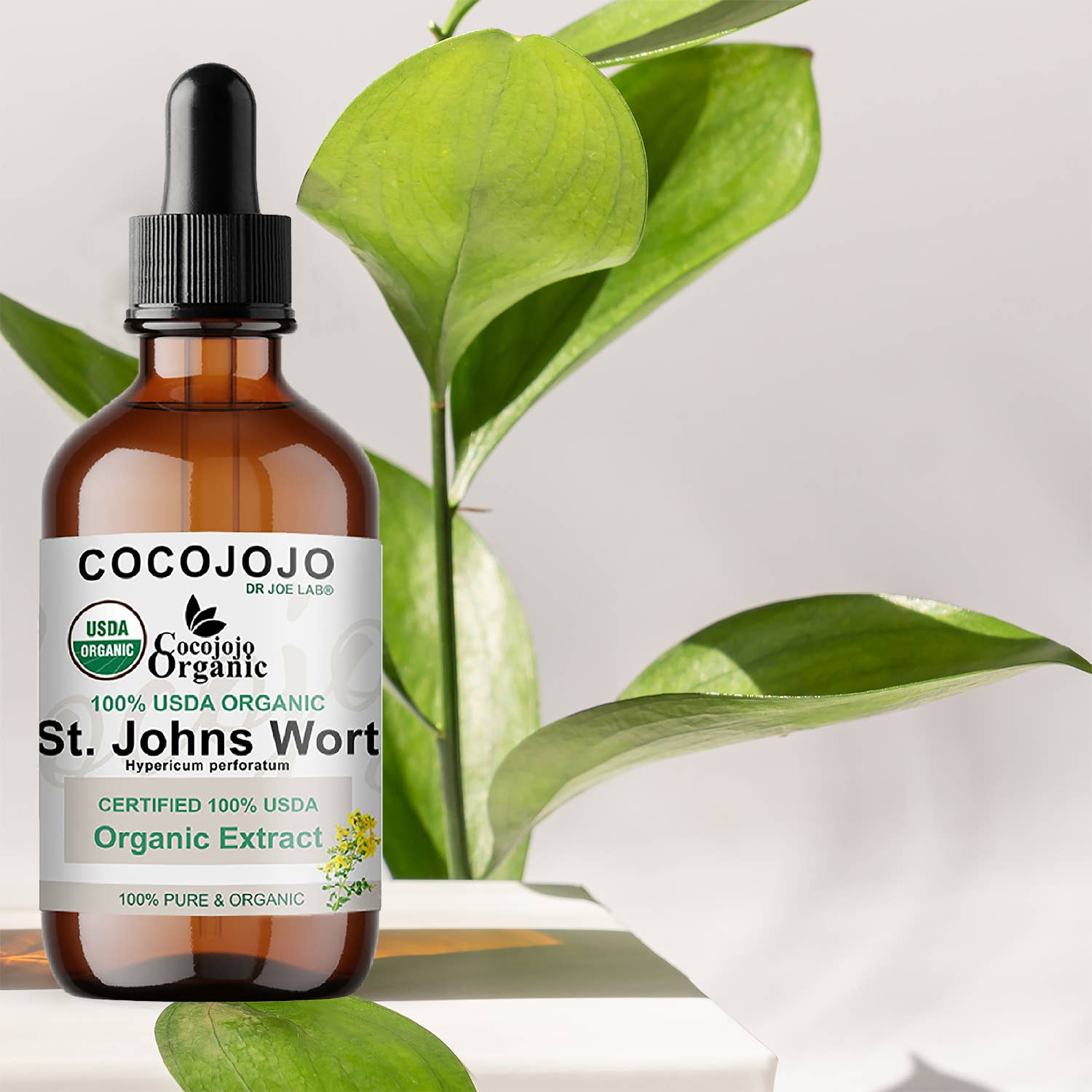 Coco jojo - Wholesale Oral Supplement/Vitamin - St. John’s Wort Extract – USDA Organic5