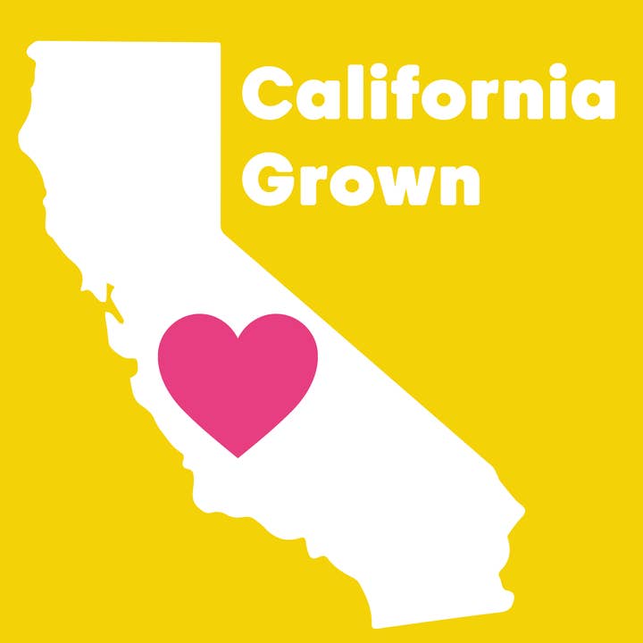 Wilderness Poets - Wholesale Nuts - Organic California Almonds4