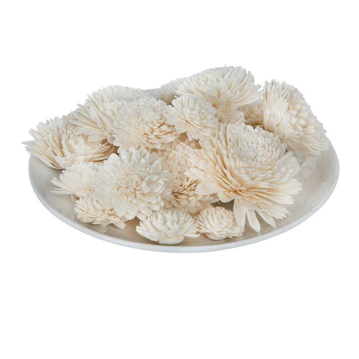 Vickerman 1-3" Assorted Zinnia Sola Head 24/bg for wholesale by Vickerman