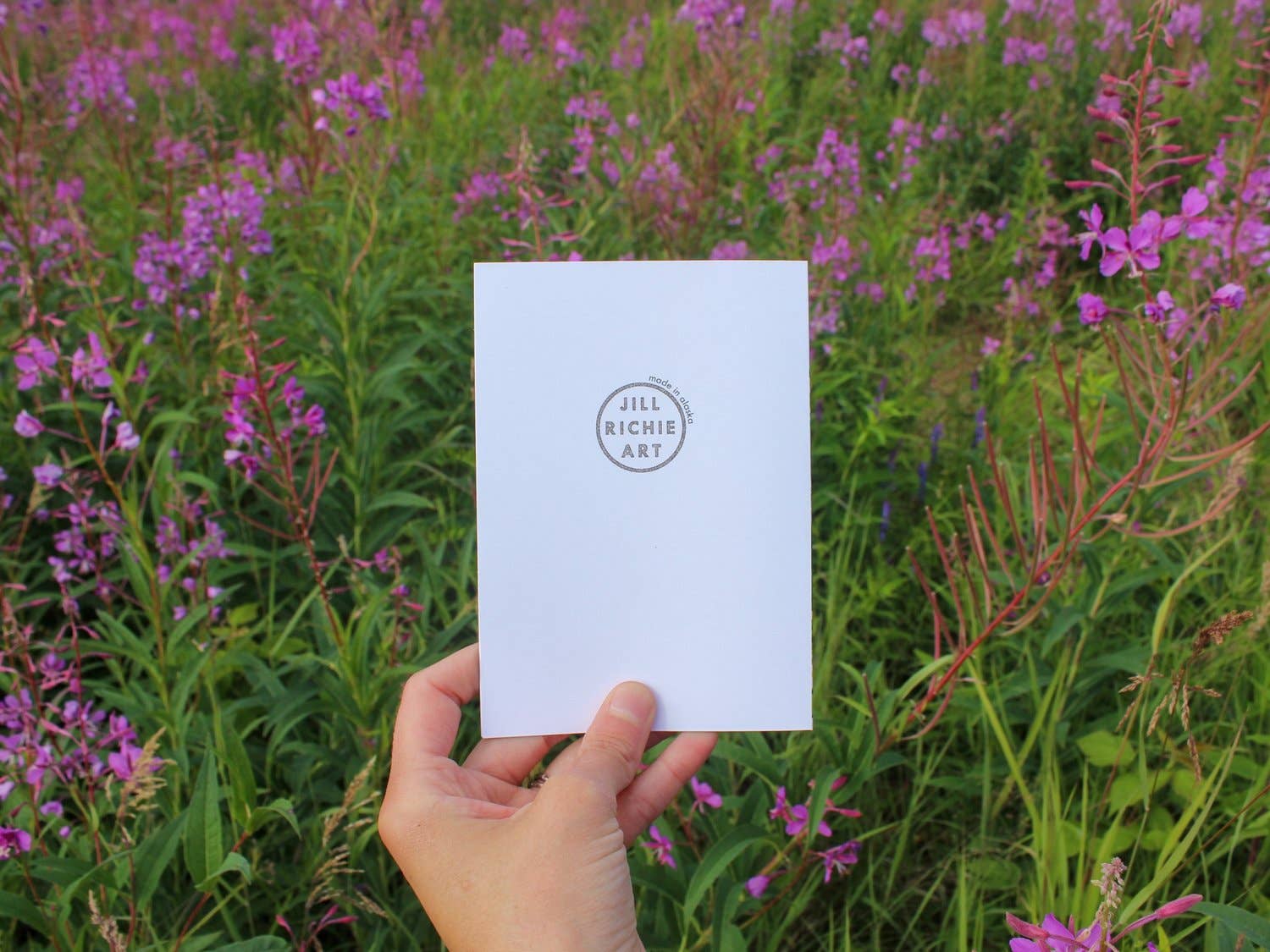 Jill Richie Art - Wholesale Stationery/Notecard Set - Full Bloom Greeting Cards6