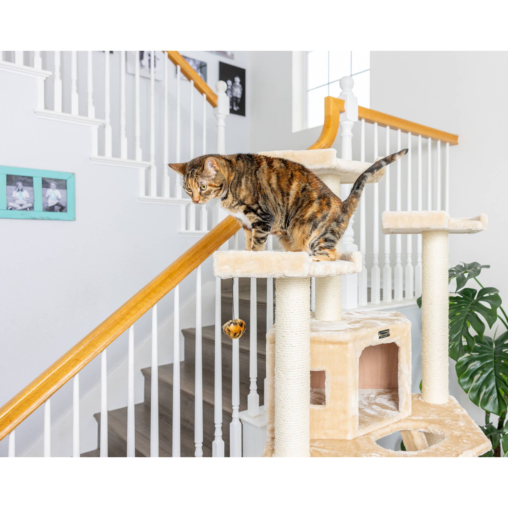 Armarkat - Wholesale Pet Scratcher - Cat - Armarkat Multi-function Real WOOD Cat Tower Beige6