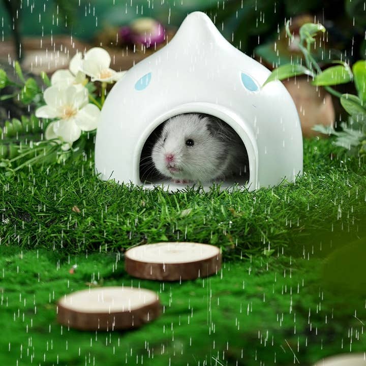 Curatepet - Wholesale Pet Toy - Not Cat/Dog - Stylish Dwarf Hamster Ceramic Hide Hydro Hut