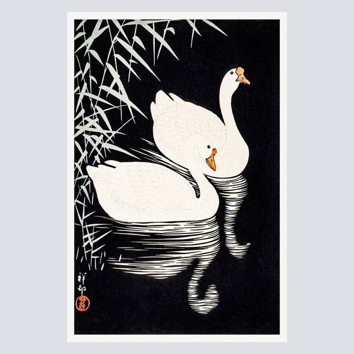 Impression d'art de qualité : Oies chinoises blanches nageant (1928) pour la vente par Milisima Studio