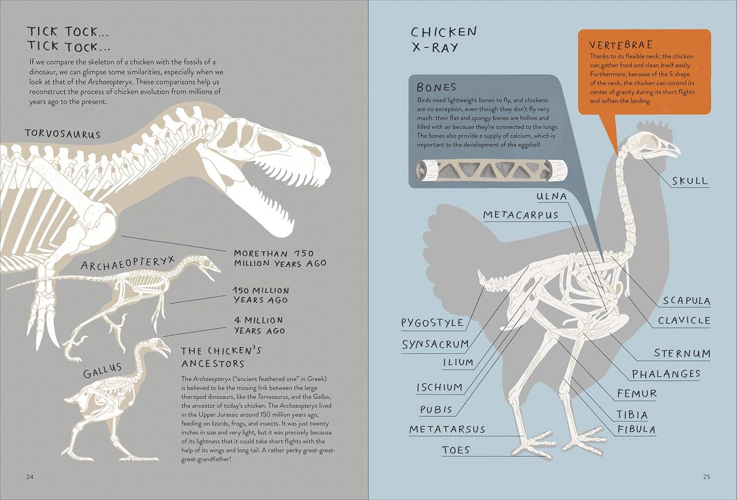 Chronicle Books - Wholesale Early Reader Book (6-8) - Chickenology4