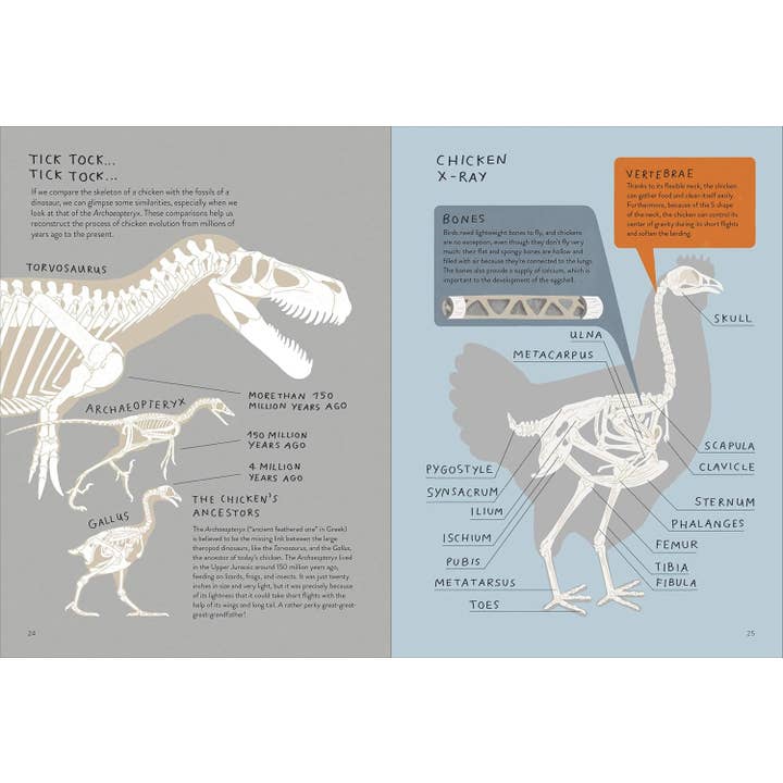 Chronicle Books - Wholesale Early Reader Book (6-8) - Chickenology4