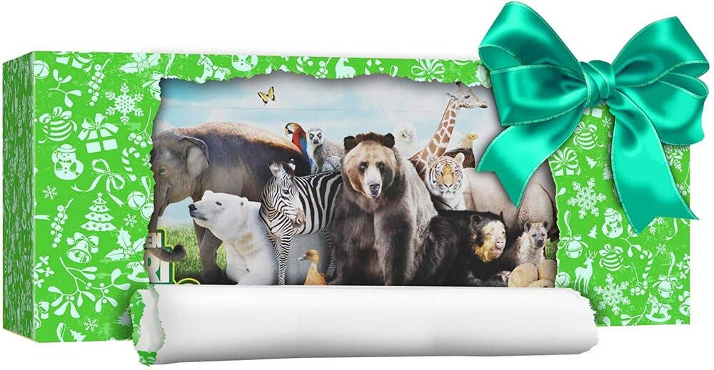 Dan&Darci - Wholesale Toy Set - Kids - Dig a Dozen Safari Animals Kit6