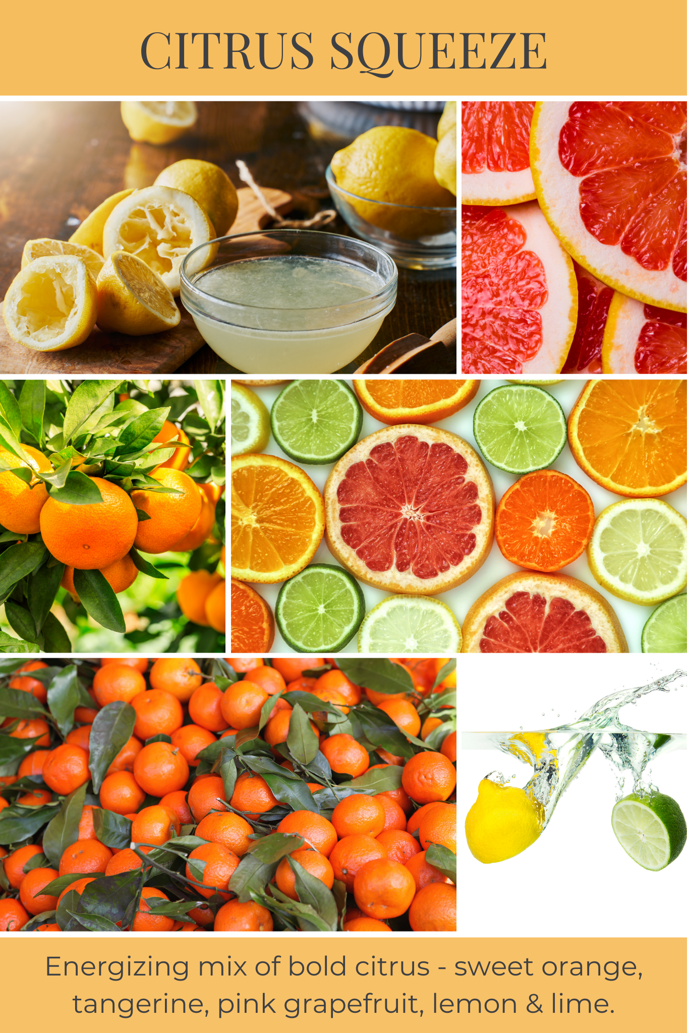 Eco Candle Company - Wholesale Tea Light Candles - tea light 10pk CITRUS SQUEEZE1