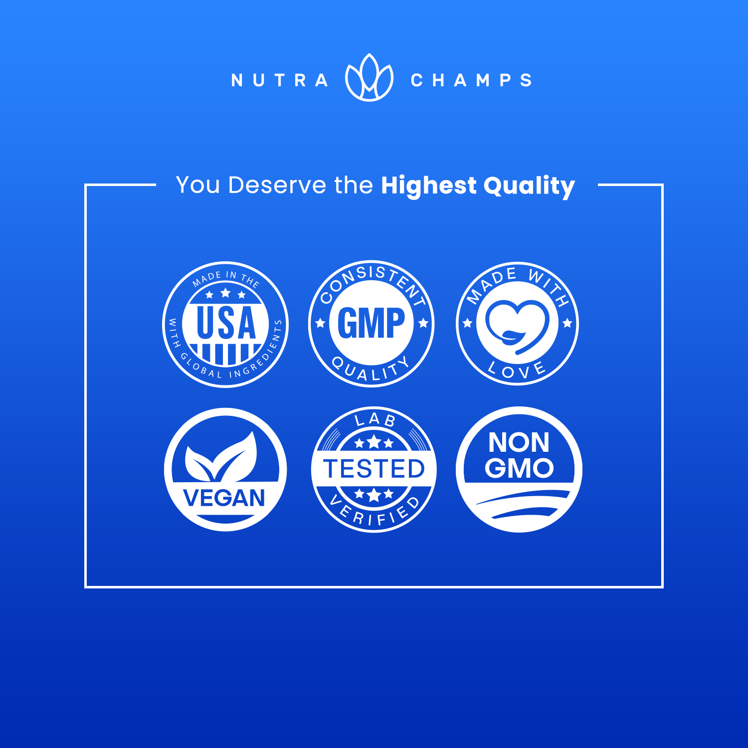 NutraChamps - Wholesale Oral Supplement/Vitamin - Black Seed Oil Capsules - Immune Support 5