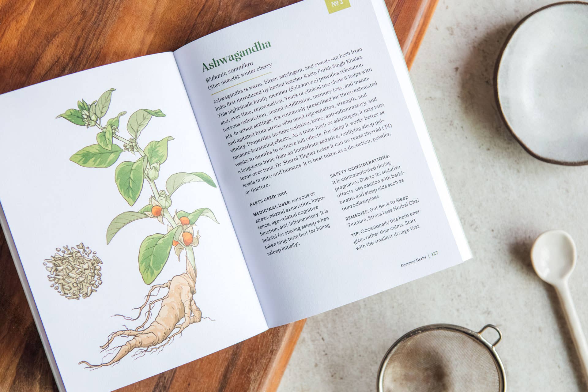 Blue Star Press - Wholesale Medical Health Book - The Little Encyclopedia of Herbal Medicine: Herbal Remedies1