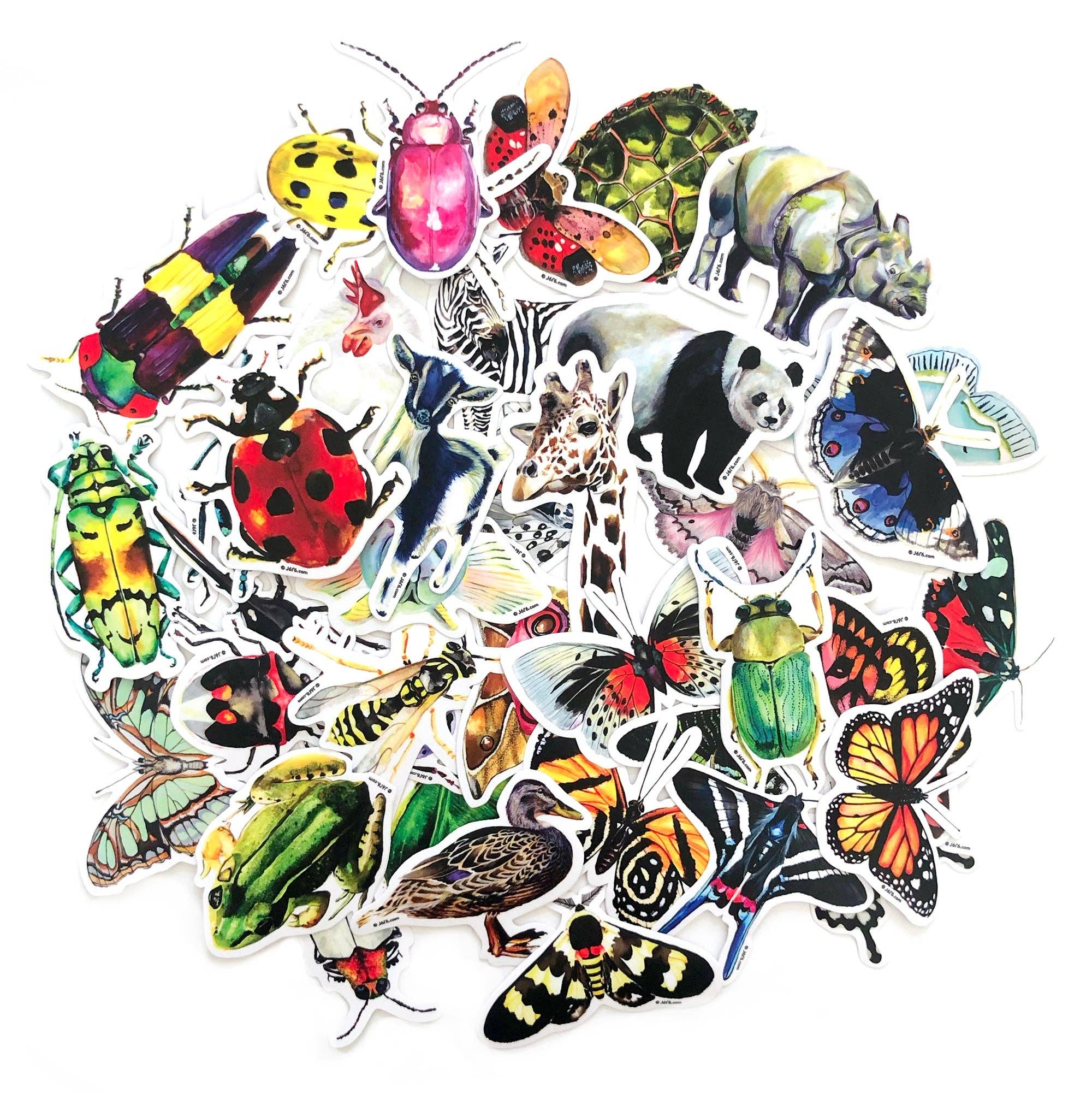 J6R6 - Wholesale Sticker - Moth 10 Vinyl Sticker (Polyphemus Moth)3