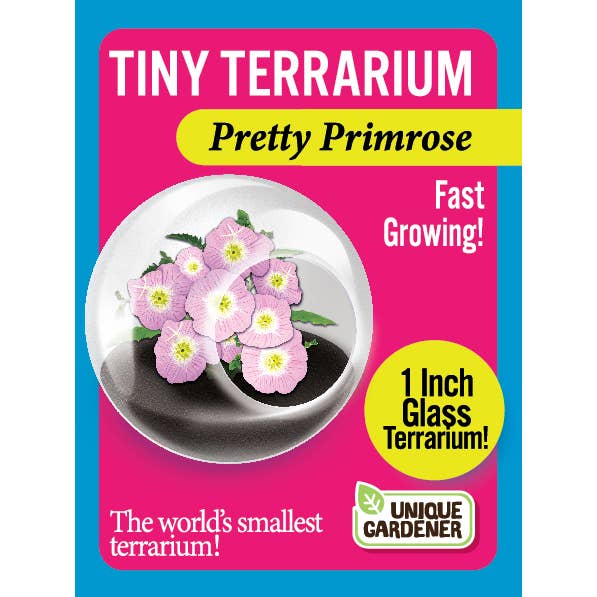 Silver Circle Products - Wholesale Retailer Display - Home & Living - Tiny Terrariums Flowering Counter Display with 6 Varieties11