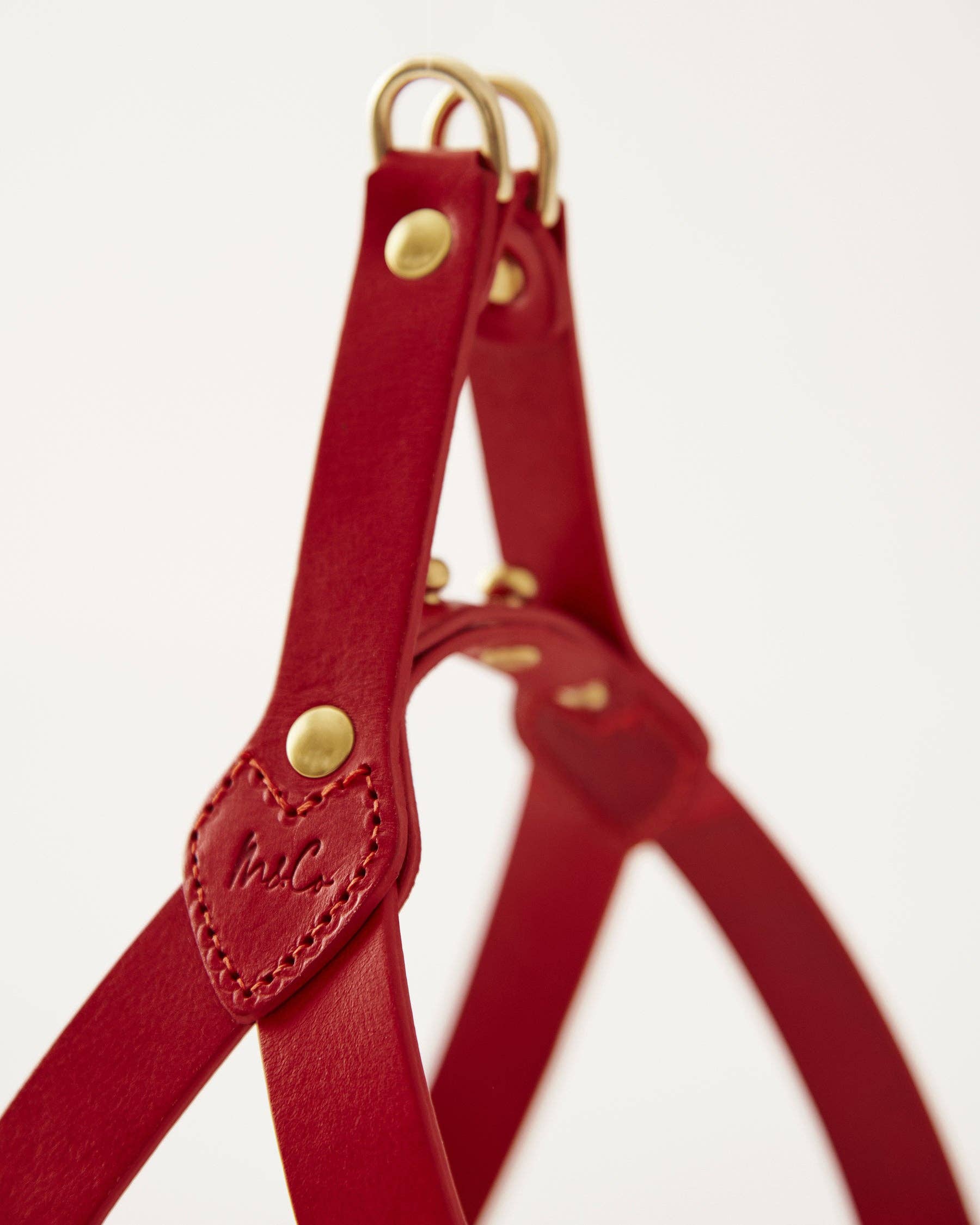 Muso & Co – Großhandel Haustiergeschirr – Hund – Klassisches Geschirr aus pflanzlich gegerbtem Leder28