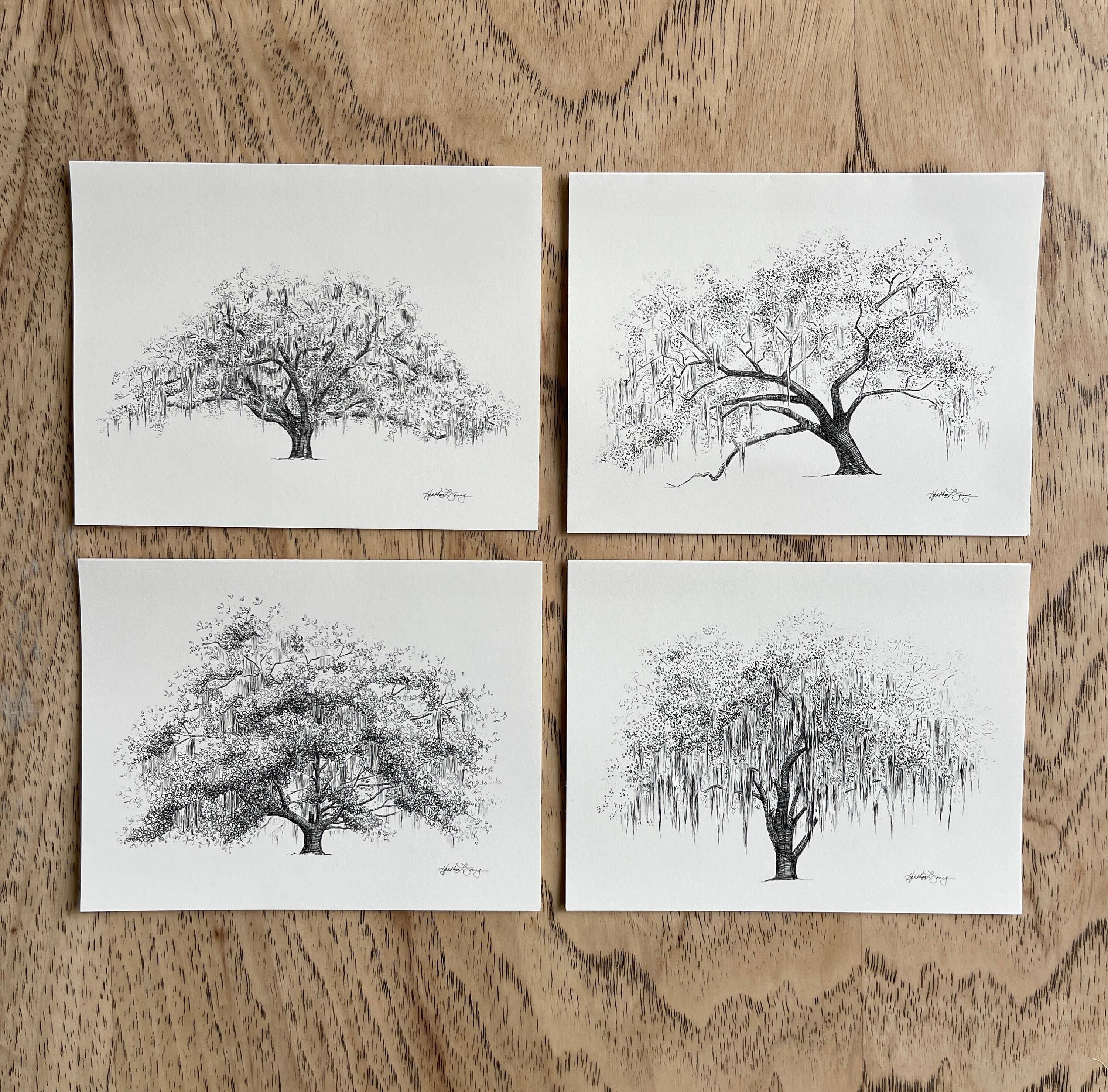 Fly Young Studio - Wholesale Stationery/Notecard Set - Oak Notes Boxed Stationery Set of 87