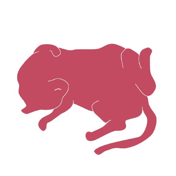 Archie's Press - Wholesale Wall Decor - Kids & Baby - Cat Prints5