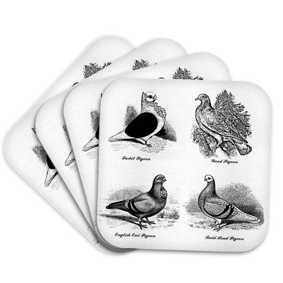 3dRose - Wholesale Coasters - 3dRose, Vintage Breeds of Pigeon Art Illustration Black and White for bird fan, Coaster7