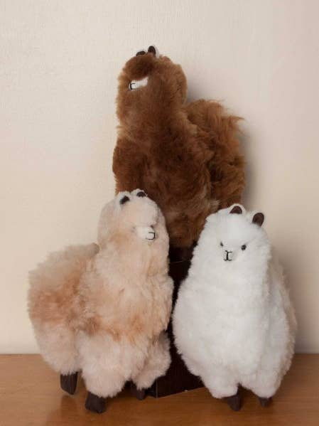 Alpaca Standing for wholesale by Simply Natural Alpaca