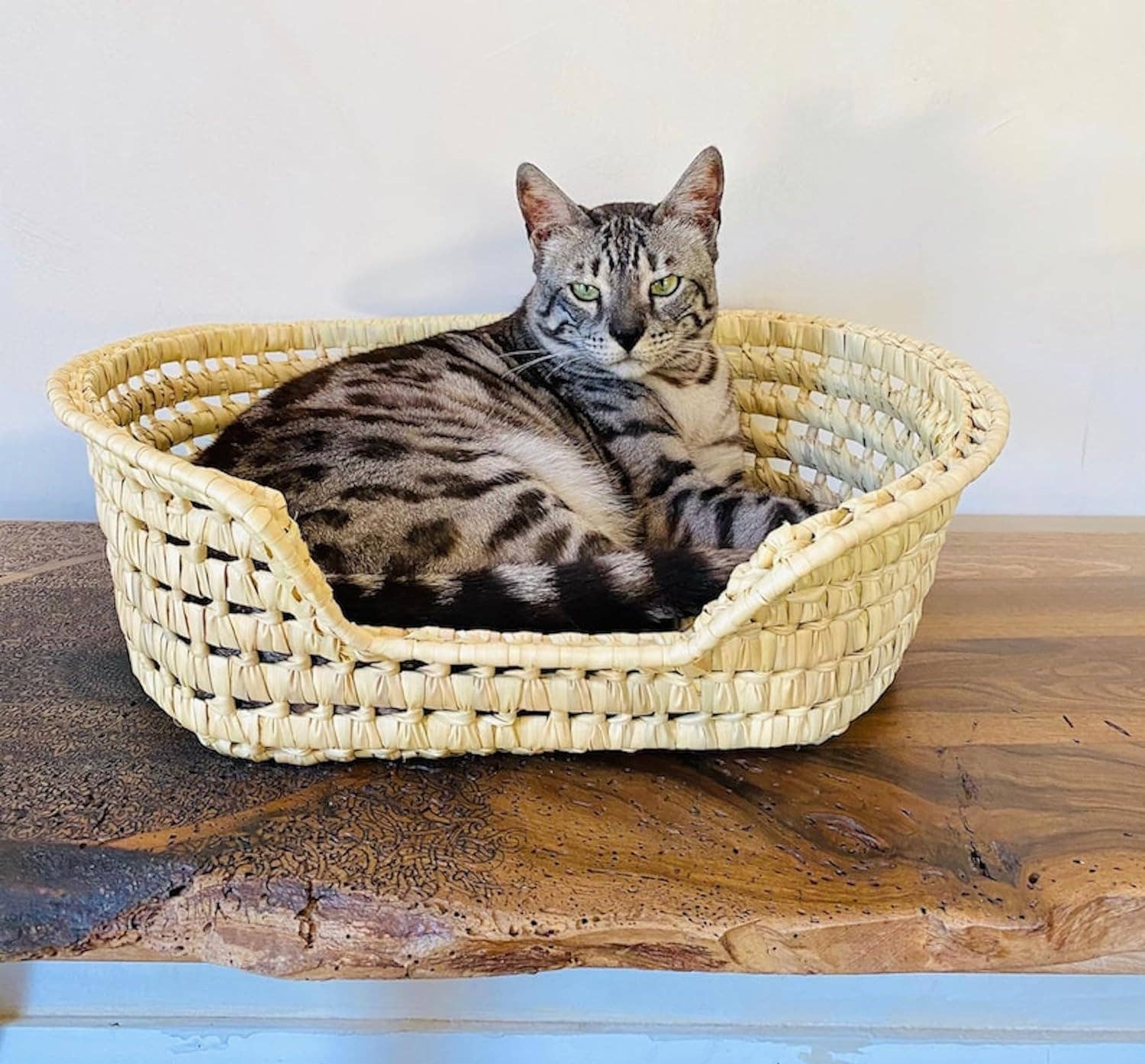 NomadWeave Ltd - Wholesale Pet Bed - Cat/Dog - Wicker Cat Bed - Bed for kitten and puppies0