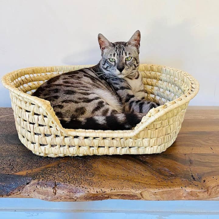NomadWeave Ltd - Wholesale Pet Bed - Cat/Dog - Wicker Cat Bed - Bed for kitten and puppies