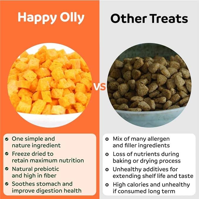 Happy Olly - Wholesale Pet Treats - Dog - Happy Olly Freeze Dried Pumpkin- Single Ingredient Dog Treat7
