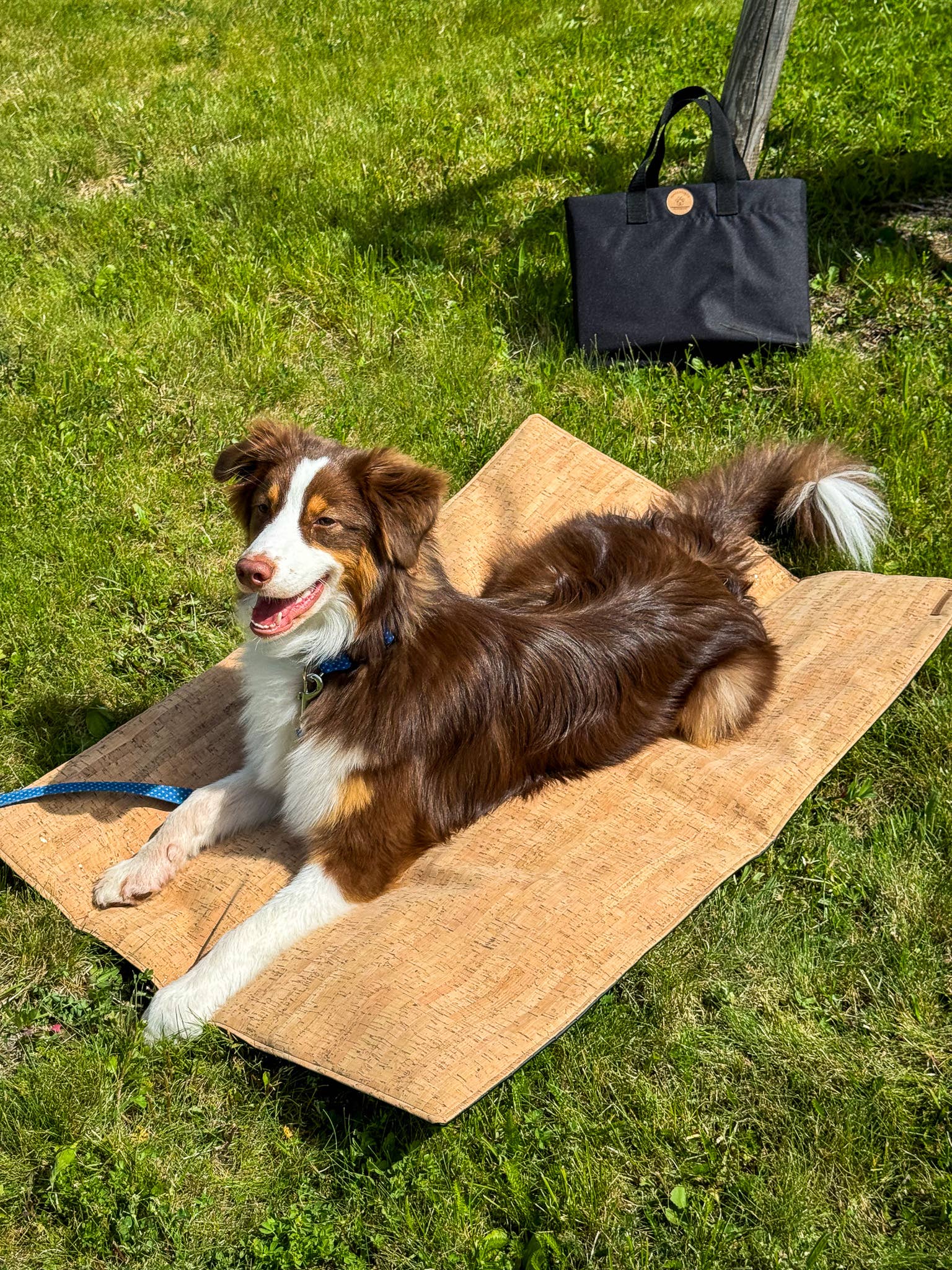 Doggotique - Wholesale Pet Mat - Dog - Cork travel mat for dogs, dog mat0