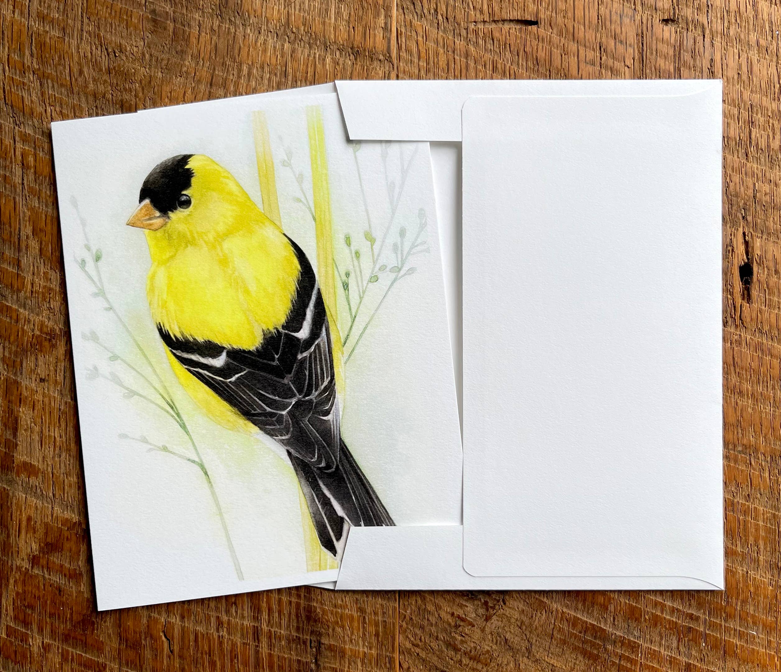 Amy Shawley Paquette - Wholesale Stationery/Notecard Set - American Goldfinch - Blank Note Card2