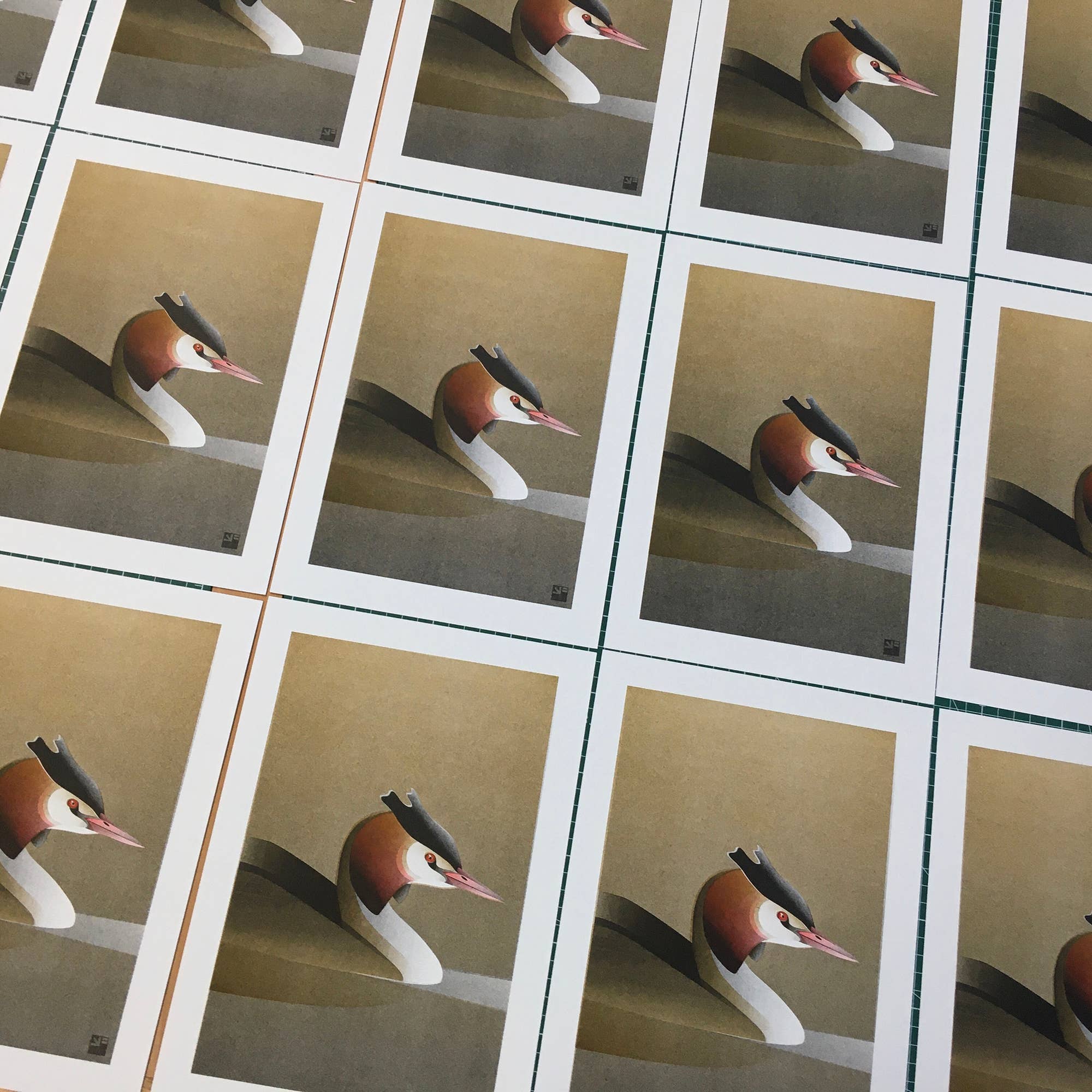 VrijFormaat - Wholesale Art Print - riso print - Grebe - Bird art print - A42