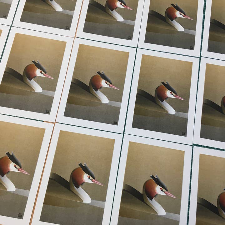 VrijFormaat - Wholesale Art Print - riso print - Grebe - Bird art print - A42