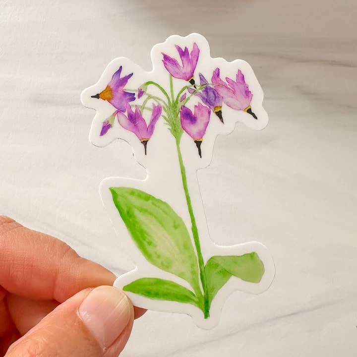 Watercolor Shooting Star Flower Wildflower Sticker for wholesale by Wildflower Paper Company