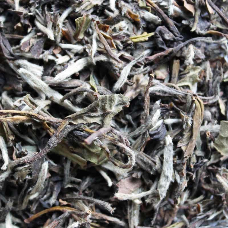eteaket – wholesale Loose tea – White Peony - 40g loose leaf1