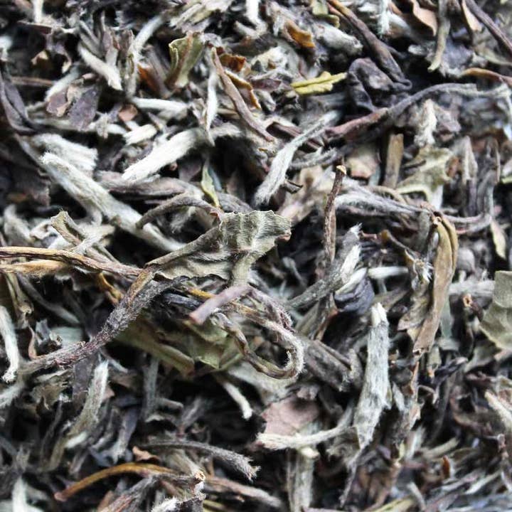 eteaket - Wholesale Loose Tea - White Peony - 40g loose leaf1