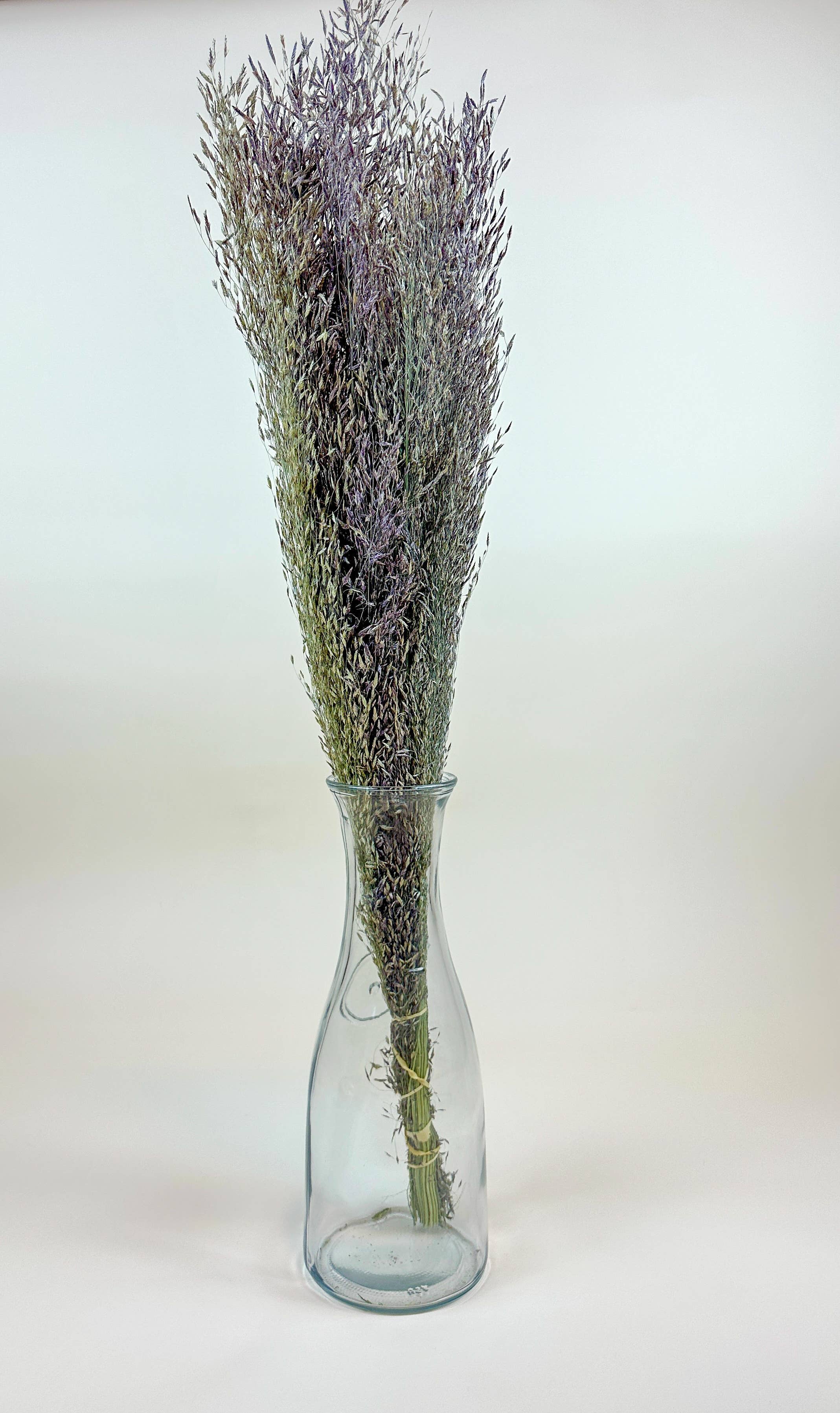 Lovejoy Farms Premium Dried Flowers - Wholesale Dried/Pressed Flowers - Ruby Silk Grass - Naturally Dried 2