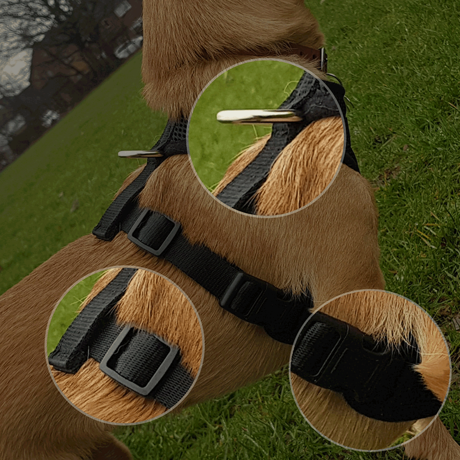 Woofles - Venta al por mayor Arnés - Perros - Arnés doble para perros AirMesh - Rojo8