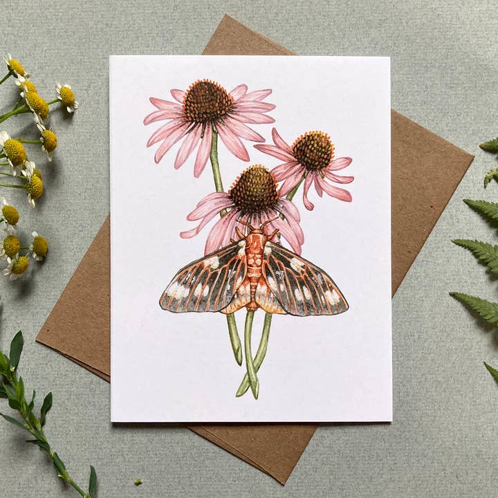 Lucinda Rowe Art - Wholesale Stationery/Notecard Set - Notecard Set - 6 Moths & Wildflowers On Blank Recycled Cards2