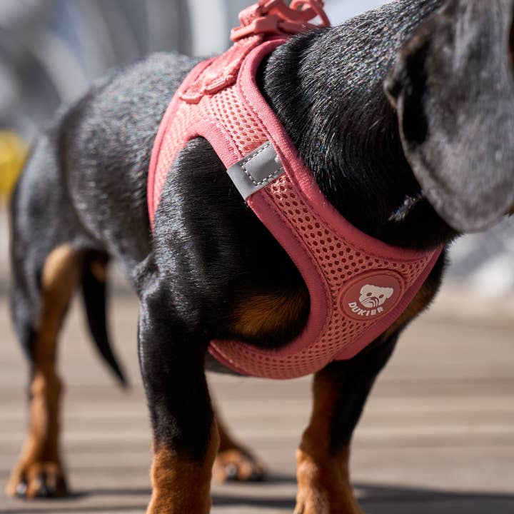 Dukier - Wholesale Pet Harness - Dog - TERRACOTTA DOG BODY HARNESS4